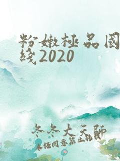 粉嫩极品国产在线2020
