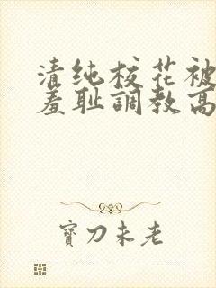 清纯校花被民工羞耻调教高h