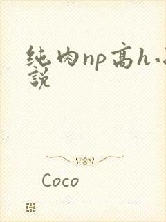 纯肉np高h小说