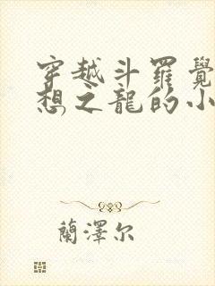 穿越斗罗觉醒空想之龙的小说