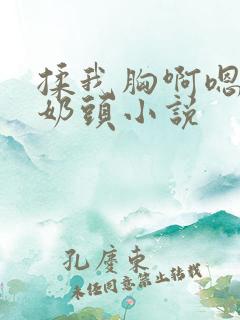 揉我胸啊嗯～吸奶头小说