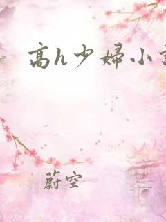 高h少妇小说