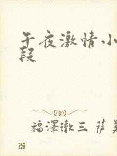 午夜激情小说片段