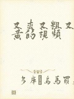 又爽又粗又猛又黄的视频