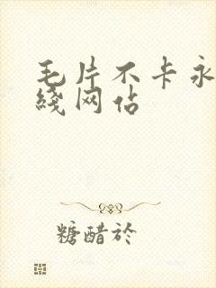 毛片不卡永久在线网站