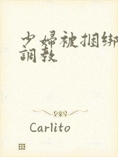 少妇被捆绑变态调教