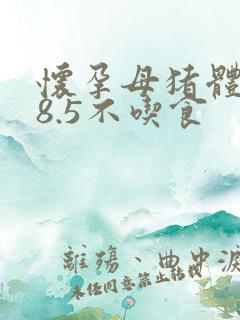 怀孕母猪体温38.5不吃食