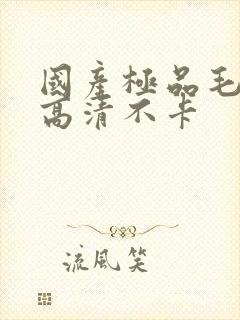 国产极品毛片v高清不卡