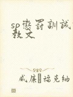 sp惩罚训诫调教文