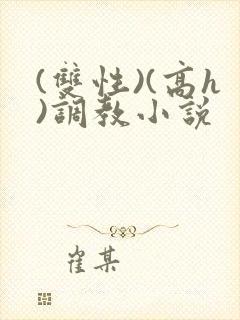 (双性)(高h)调教小说