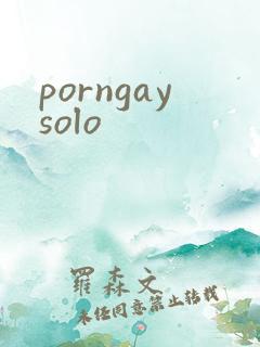 porngaysolo