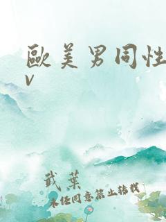 欧美男同性恋av