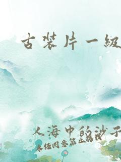 古装片一级片