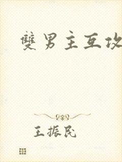 双男主互攻po