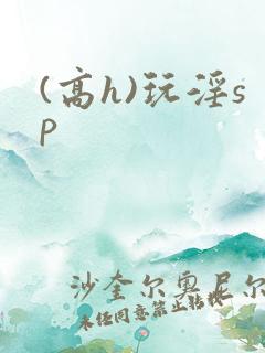 (高h)玩淫sp