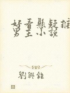 好看悬疑推理双男主小说