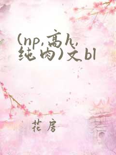 (np,高h,纯肉)文bl