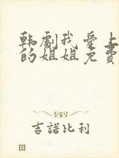 韩剧我爱上朋友的姐姐免费观看