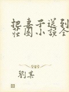 把妻子送到奴隶庄园小说全文阅读