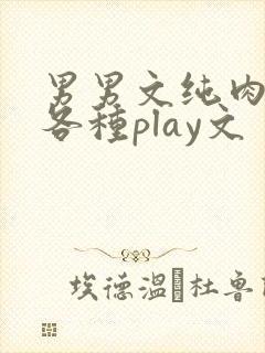 男男文纯肉高h各种play文