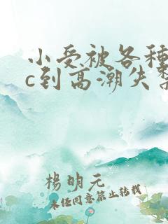 小受被各种姿势c到高潮失禁的小说