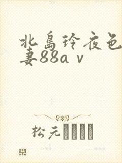 北岛玲夜色降人妻88aⅴ