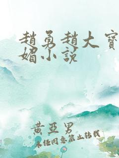 赵勇赵大宝和苏媚小说