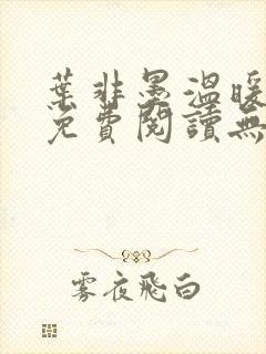 叶非墨温暖全文免费阅读无弹窗