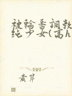 被轮番调教的清纯少女(高h