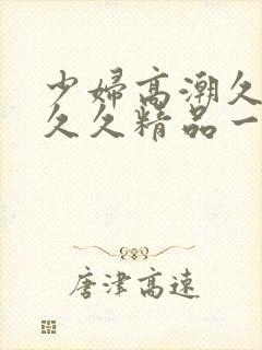 少妇高潮久久久久久精品一