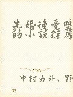 先婚后爱双男主的小说推荐