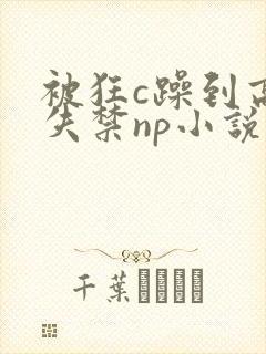 被狂c躁到高潮失禁np小说推荐