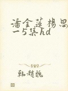 潘金莲杨思敏1一5集hd