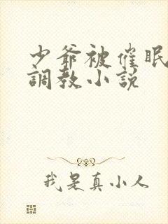 少爷被催眠玩弄调教小说