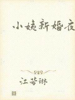 小姨新婚夜