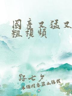 国产又猛又黄又粗视频