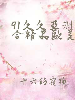 91久久亚洲综合精品欧美