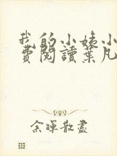 我的小姨小说免费阅读叶凡