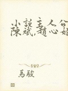 小说主人公叫:陈斌,赵心媚