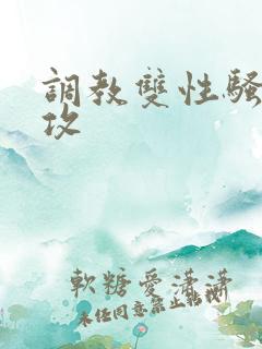 调教双性骚货总攻