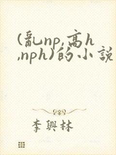 (乱np,高h,nph)的小说