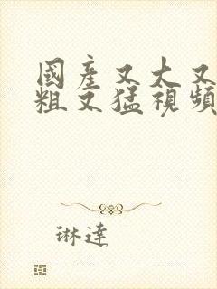 国产又大又长又粗又猛视频