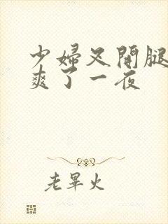 少妇叉开腿让我爽了一夜