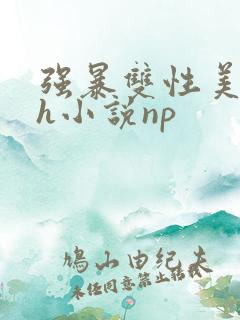 强暴双性美人高h小说np