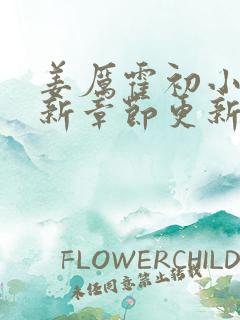 姜厉霍初小说最新章节更新时间