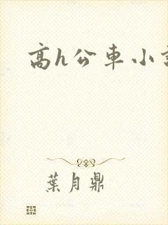 高h公车小说