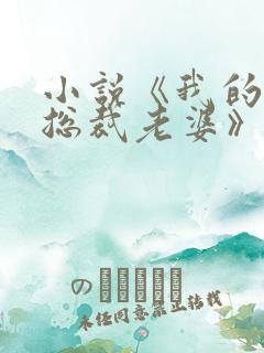 小说《我的冰山总裁老婆》