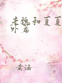 老魏和夏夏的番外篇