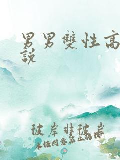 男男双性高h小说