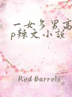 一女多男高hnp辣文小说